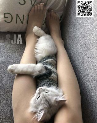 辣妹子影院电视剧免费播放西瓜