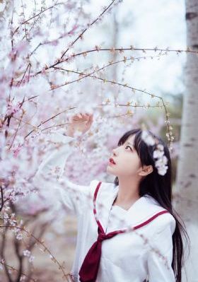 唱歌的大姐姐第二季完整版